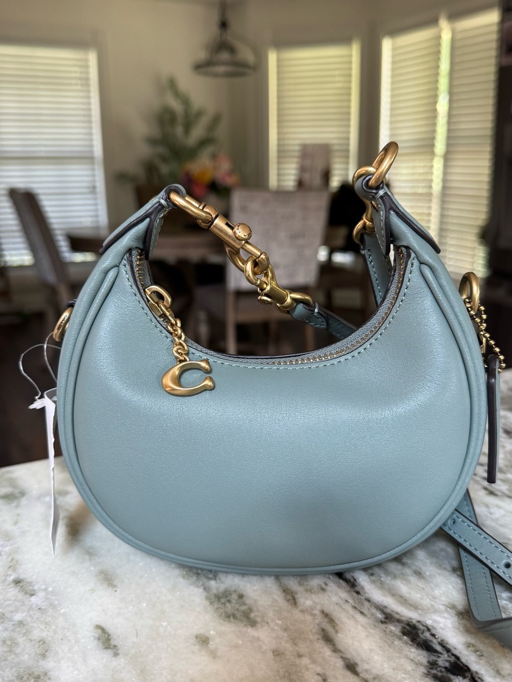 Coach Jonie in Sage Green Clutch or Shoulder Bag